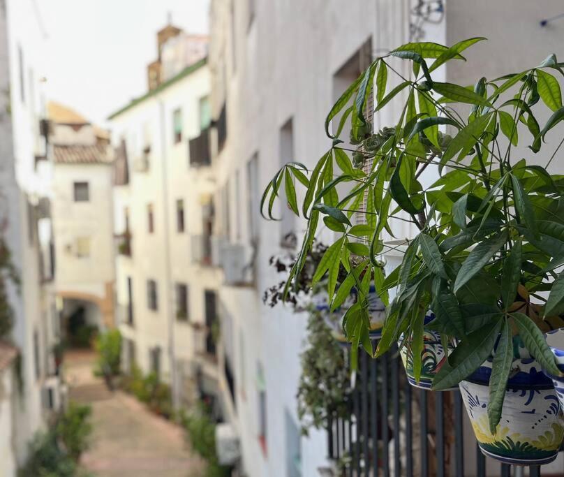Apartamento Kenza Córdoba Kültér fotó