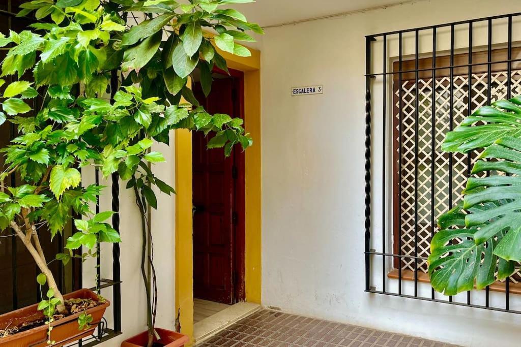 Apartamento Kenza Córdoba Kültér fotó